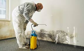 Best Mold Prevention Services in Fair Oaks, GA