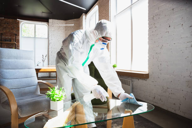 Best Industrial Mold Remediation in Fair Oaks, GA