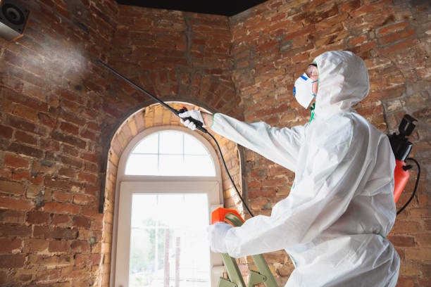 Fair Oaks, GA Mold Removal Company