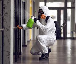 Why You Should Choose Our Mold Remediation Services in Fair Oaks, GA